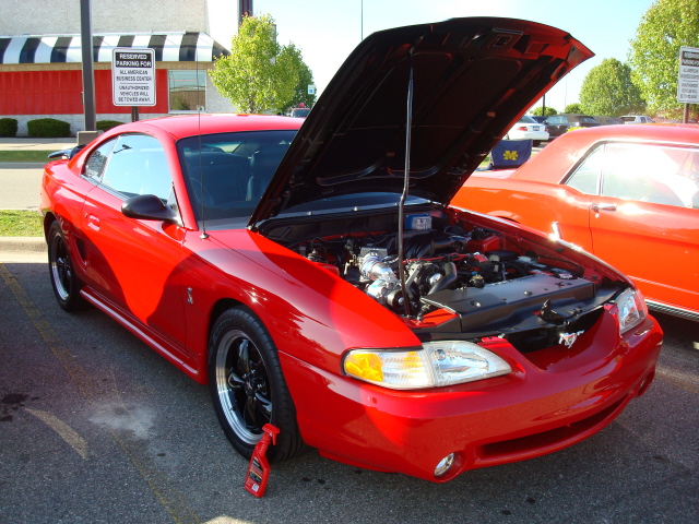 5189_107.JPG