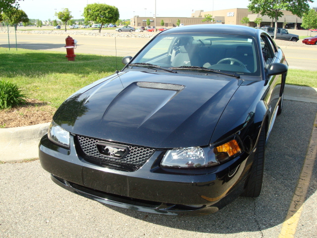 5259_037.JPG