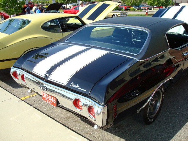 5259_059.JPG