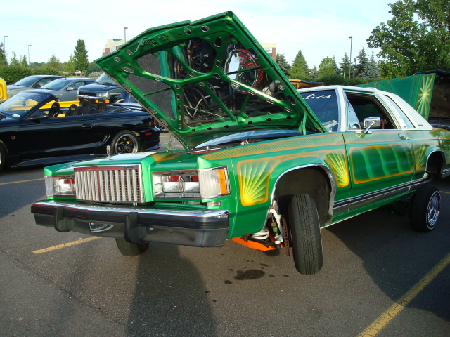 6229_041.JPG