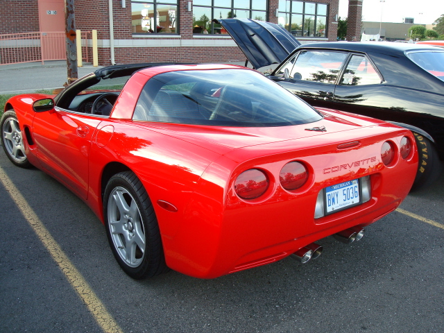 6229_050.JPG