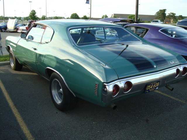 6229_061.JPG
