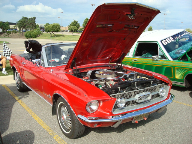 6299_005.JPG