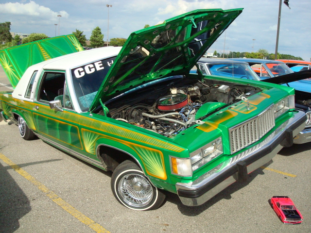 6299_007.JPG