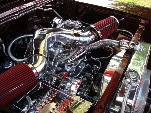 7609_033.JPG