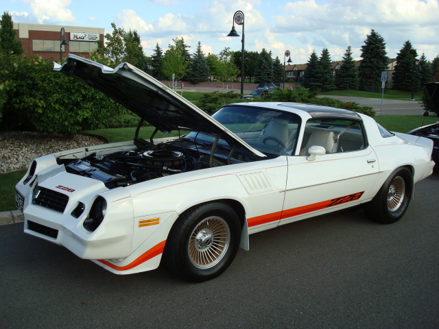 7609_062.JPG