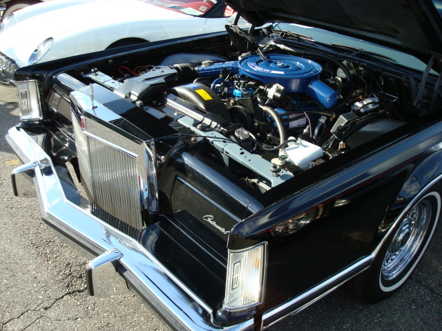 7609_117.JPG