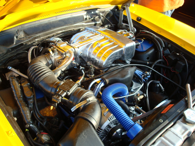 71309_075.JPG
