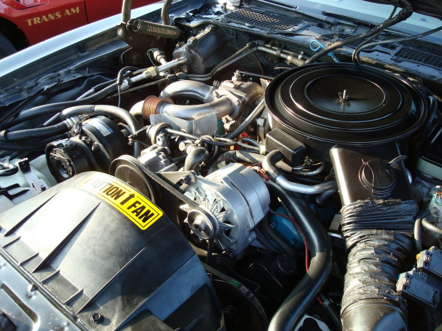 71309_125.JPG