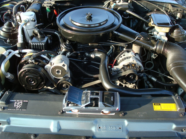 71309_132.JPG