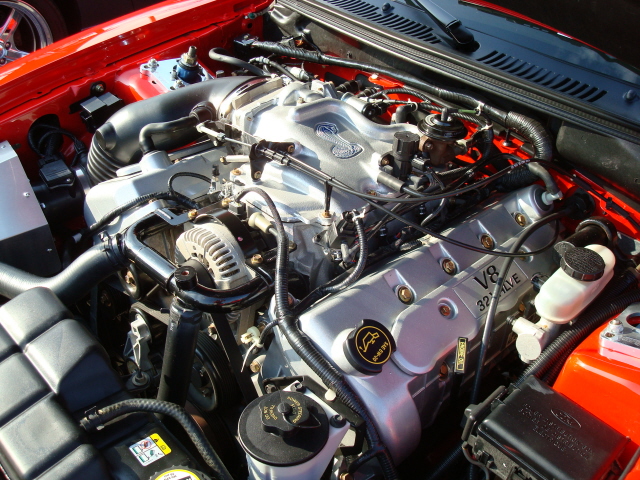 72009_077.JPG