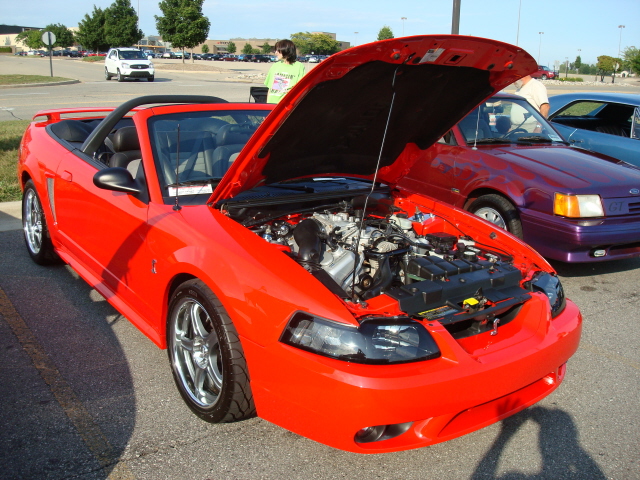72009_079.JPG