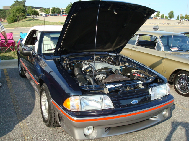 72009_082.JPG