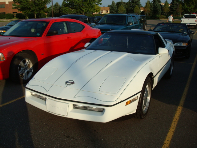 7279_034.JPG