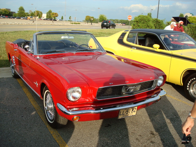 7279_087.JPG