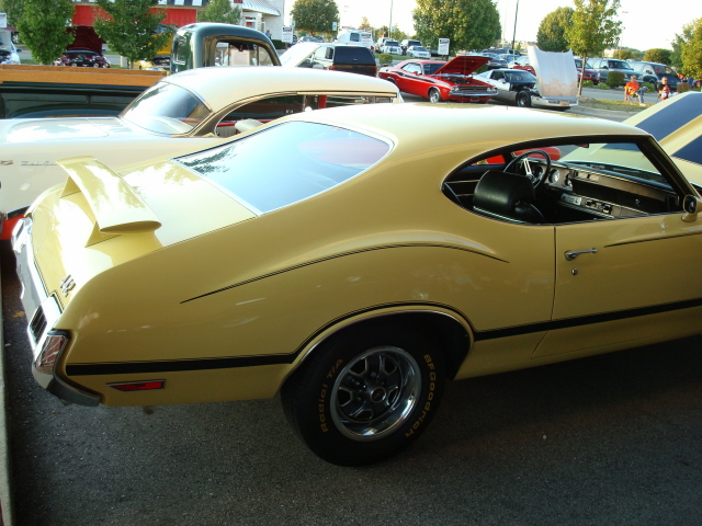 8249_037.JPG