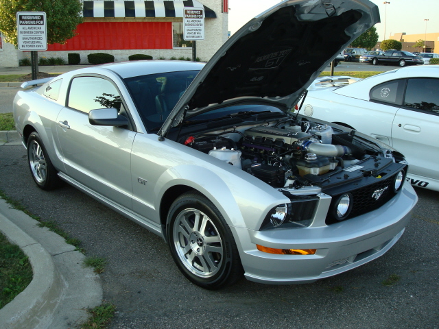8249_057.JPG