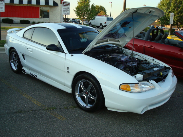 8249_059.JPG