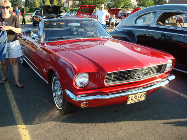 8249_143.JPG