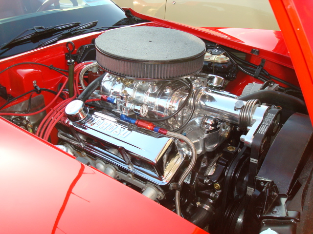 8319_110.JPG