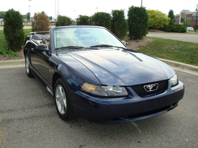 9709_135.JPG