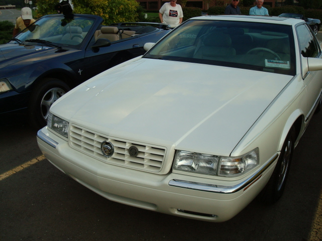9149_056.JPG