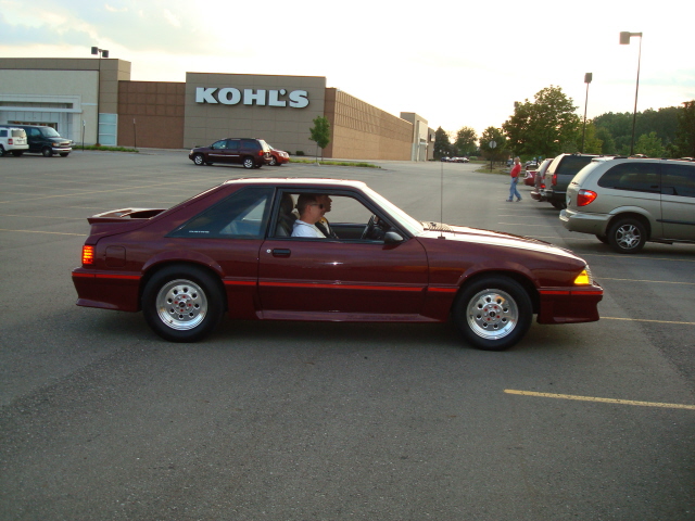9149_074.JPG
