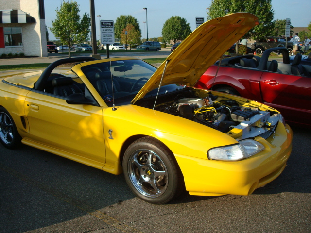 9149_113.JPG