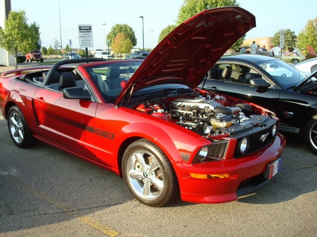 9149_114.JPG