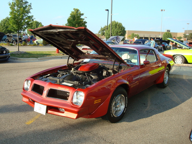 9149_129.JPG