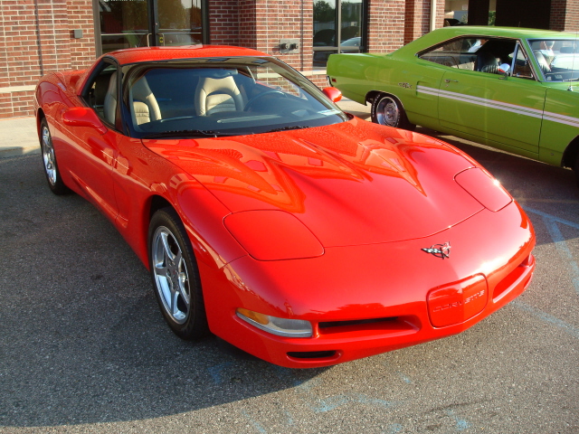 9149_133.JPG