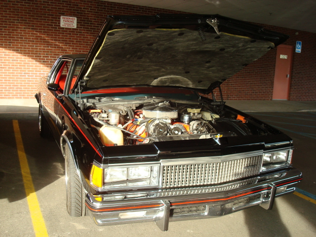 51010_091.JPG