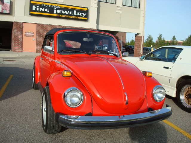 51010_098.JPG