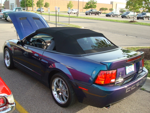 51010_107.JPG