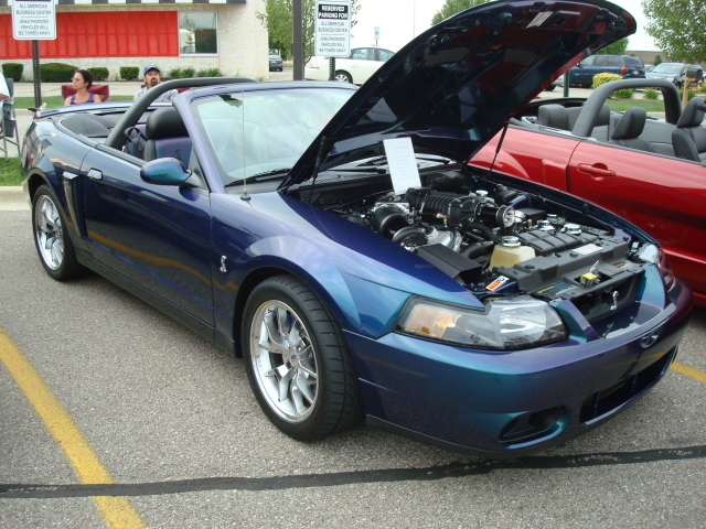 62110_059.JPG