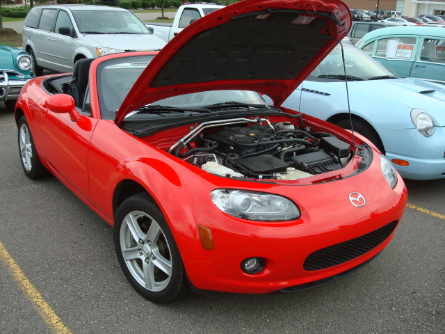 62110_115.JPG
