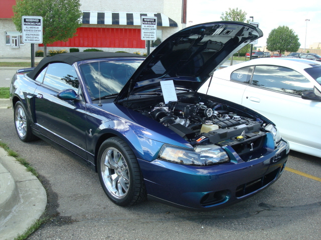 6710_012.JPG