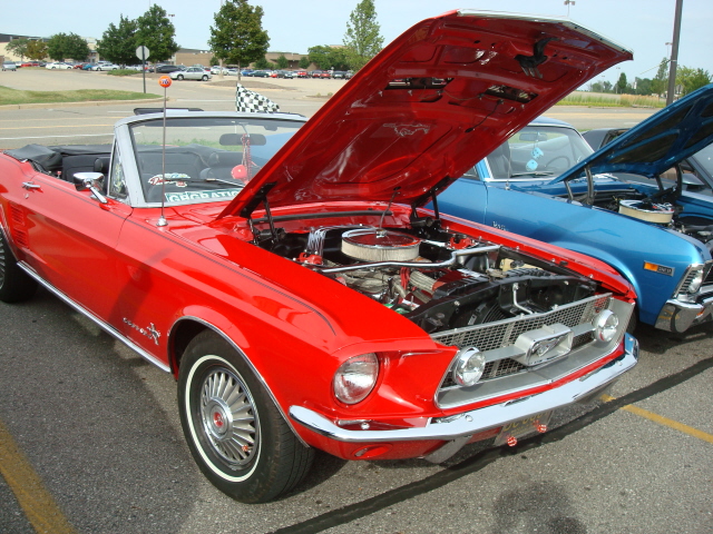 71910_104.JPG