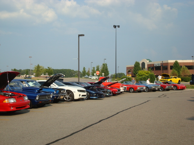 7510_026.JPG