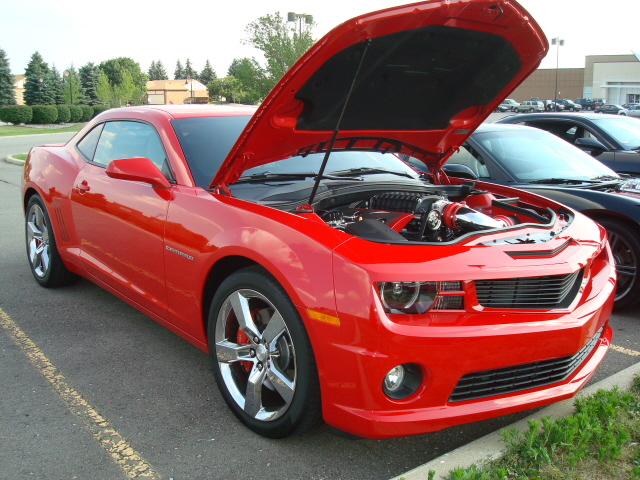 7510_049.JPG