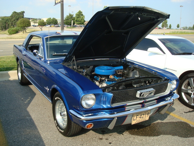7510_072.JPG