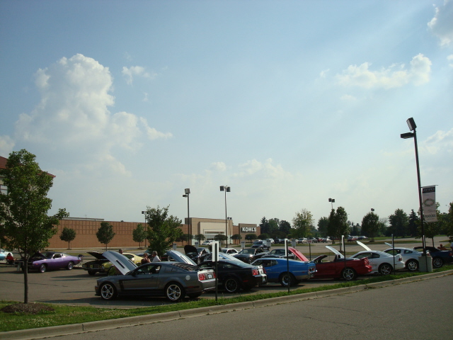 7510_083.JPG