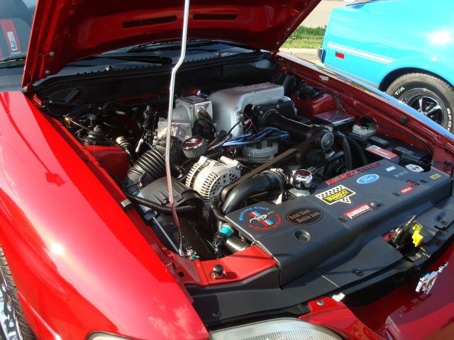 7510_113.JPG