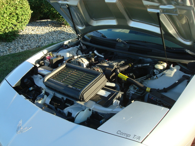 81610_046.JPG