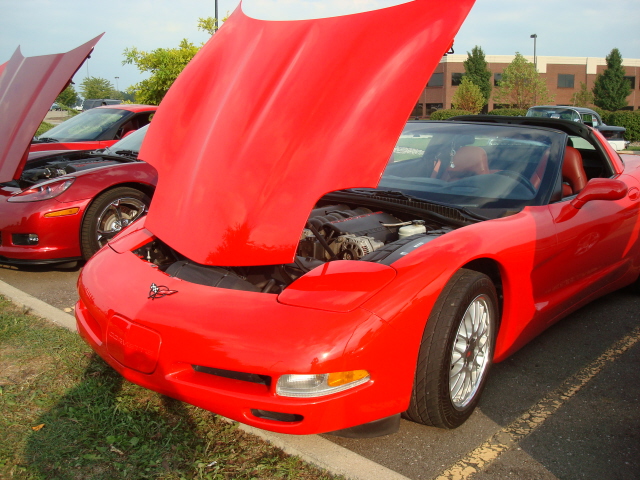 8210_144.JPG