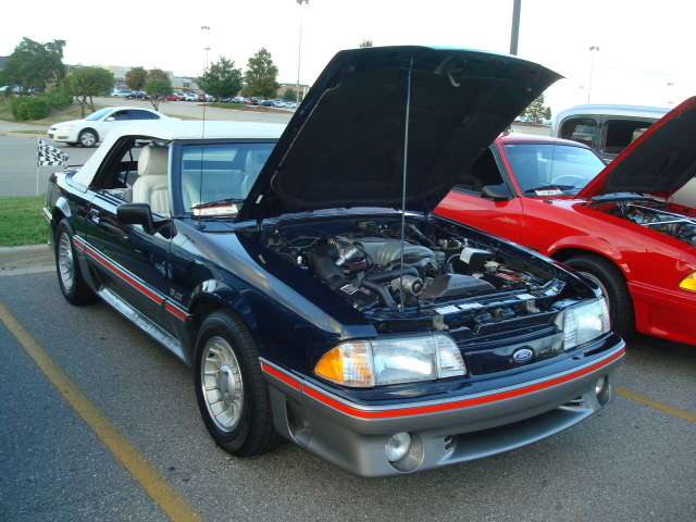 82310_046.JPG