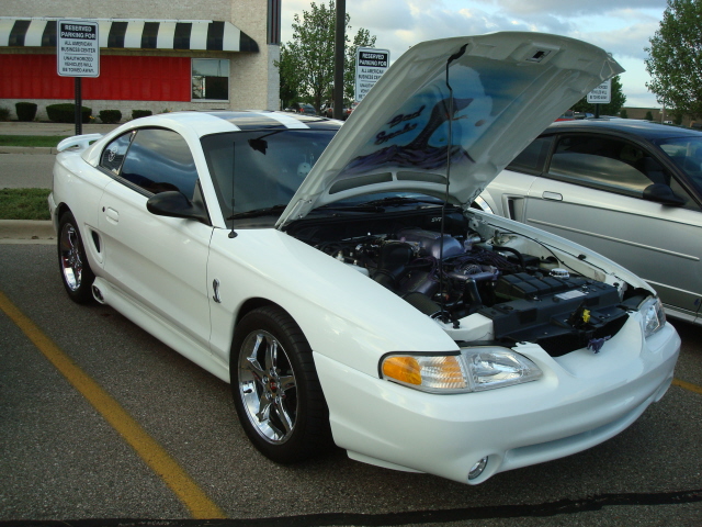 82310_117.JPG