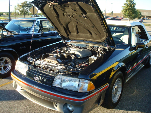 91310_124.JPG