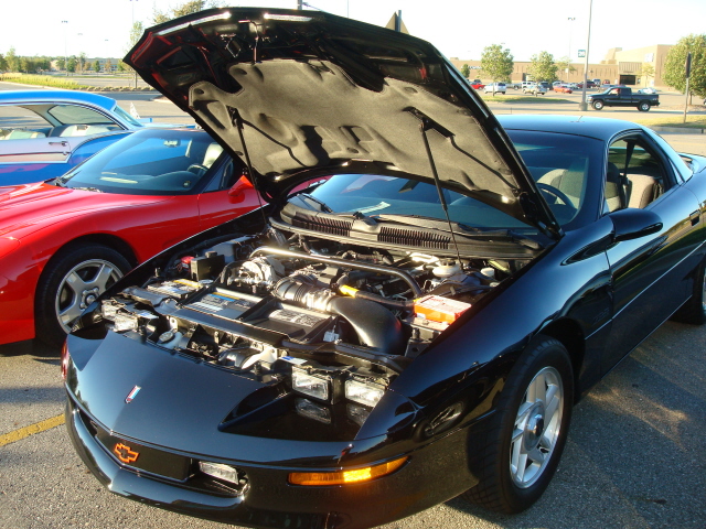 91310_127.JPG