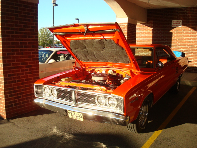 91310_150.JPG